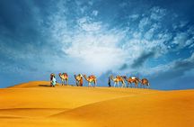 Abu Dhabi Evening Desert Safari Adventure