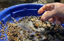 Kelowna E-Bike Gold Panning Expedition