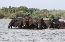 7 Day Zimbabwe Bostwana Safari