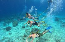 1 Hour Guided Snuba East Coast Diving in Curacao