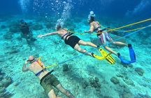 1 Hour Guided Snuba East Coast Diving in Curacao