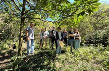 Organic Coffee Farm Tour