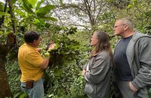 Organic Coffee Farm Tour