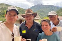 Organic Coffee Farm Tour