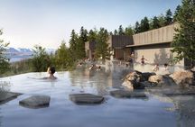 Akureyri Port: Hot Godafoss Waterfall Tour & The Forest Lagoon