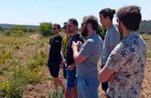 Madrid Winery Tour with Tasting & Sommelier Guide