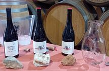 Madrid Wine Tour: Visit Two Wineries with Tastings