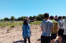 Madrid Wine Tour: Visit Two Wineries with Tastings