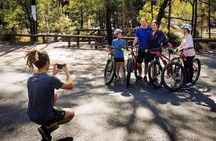 2 Hour Private Brisbane Mountain Bike Coaching Session and Ride