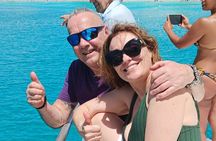 2 Hours Turtle Feeding, Shipwreck & Reef Snorkeling Tour Barbados
