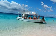 2 Hours Turtle Feeding, Shipwreck & Reef Snorkeling Tour Barbados