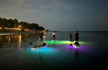 Paddle Out at Dusk for Glow Night Cruise in Gordon Bay