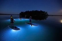 Paddle Out at Dusk for Glow Night Cruise in Gordon Bay