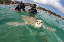 private snorkeling with Sea Turtles in Akumal