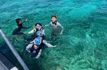 Twin Island Snorkeling Adventure at Hiltungan and Nalsuan