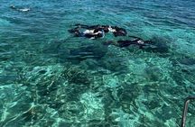 Half day tour with Snorkel at Sancturary and Sulpa island 