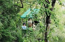 Panama Eco Adventure: Gatun Lake, Aerial Tram & Sloth Sanctuary