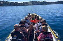Sea trip from Villefranche sur Mer to Mala with swimming