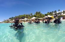Try and Discover scuba diving