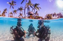Try and Discover scuba diving