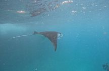 PRIVATE Nusa Penida on Boat Snorkeling & Island Tour (INCLUSIVE)