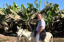 Real life Experience Village Tour by Donkey