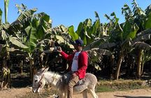 Real life Experience Village Tour by Donkey