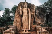 All-Inclusive Private tour in Sri Lankan Island 9 Day HB hotels