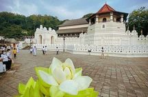All-Inclusive Private tour in Sri Lankan Island 9 Day HB hotels