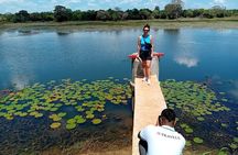 Wilpattu National Park Leopard safari from Colombo/Negambo