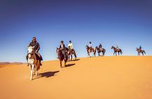 Whispers of the Dunes: A Doha Horse Riding Experience