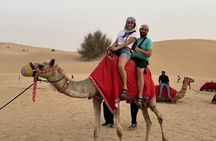 VIP Desert Safari, ATV, BBQ, Camel Ride, All Exclusive Services
