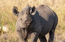 Victoria Falls Private Game Reserve Tour