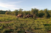 Victoria Falls Private Game Reserve Tour