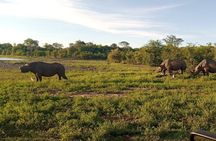 Victoria Falls Private Game Reserve Tour