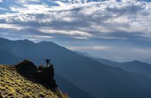 Mardi Trek