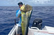 DEEP SEA FISHING 1/2 day (private group)