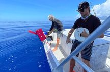 DEEP SEA FISHING 1/2 day (private group)