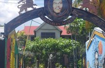 Private Kingston and Bob Marley Museum Tour from Ocho Rios