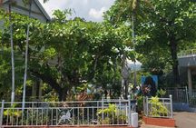 Private Kingston and Bob Marley Museum Tour from Ocho Rios
