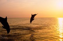 3hours all inclusive Sunset&Dolphin Tour from Medulin on Sandra