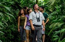 Private Rio Celeste Tubing & Sloth Trail from Guanacaste