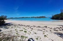 Sightseeing Shopping and Beach Tour