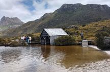 Devonport Cradle Mt Sightseeing tour