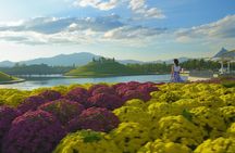 Suncheon and Yeosu Daily Private Tour 