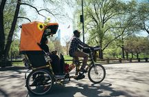 Private Central Park Guided Pedicab Tour