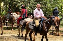 Half-day Horseback Riding through the Mountains Punta Cana 