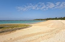 Okinawa's Gorgeous Beach & Snorkel Tour: Private & Customised 
