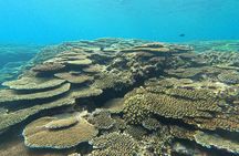 Okinawa Private Adventure Day: Beaches, Snorkeling & Waterfalls