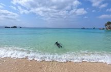 Okinawa's Gorgeous Beach & Snorkel Tour: Private & Customised 